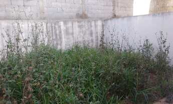 Imagem 4: Excelente casa térrea de rua Agreste Tijuco Preto lavanderia no quintal imenso nos fundos