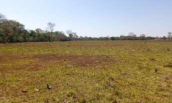 Imagem 5: Fazenda em Dois Irmãos