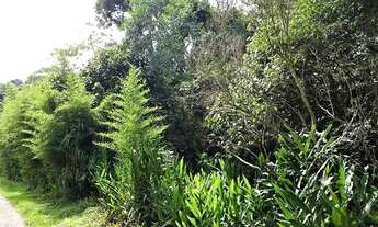 Imagem 7: Terreno à venda, 5324 m² por R$ 468.000,00 - Granja Viana - Cotia/SP