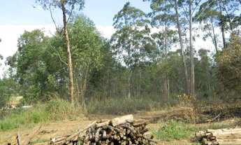 Imagem 5: Excelente sitio de 1 alqueire na zona leste de São José dos Campos