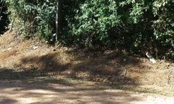 Imagem 2: Terreno em Mairiporã com área total de 1.193,55 M²