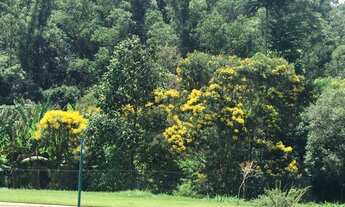 Imagem 2: Terreno à venda, 800 m² por R$ 500.000,00 - Residencial Haras Patente - Jaguariúna/SP