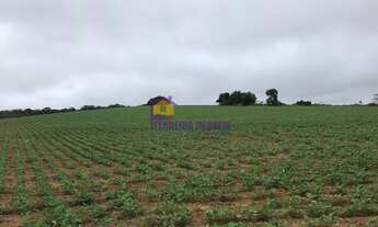 Imagem: Ibiúna, maravilhosa área com 288 mil metros