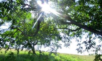 Imagem 6: Terreno Condomínio Vila Preciosa, Cabreúva/SP, 275m², pronto para construir
