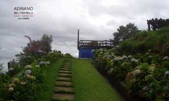 Imagem 5: SITIO PRÓXIMO A CAMPOS DE JORDÃO