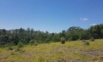 Imagem 7: Terreno no bairro Chácaras Ceres