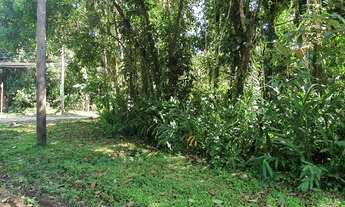 Imagem 2: Lote/Terreno para venda possui 400 metros quadrados em Sertão do Camburi - São Sebastião