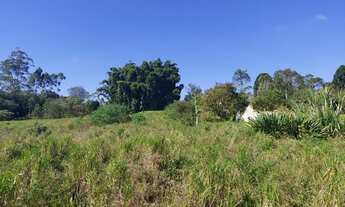 Imagem 6: Área para plantio, com 78000 metros quadrados em Ipelândia - Suzano - SP