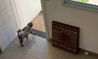 Imagem 4: Casa com 2 quartos -2 banheiros - quintal - 2 vagas - Éden - Sorocaba -SP