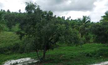 Imagem: SÍTIO EM PIRAMBU