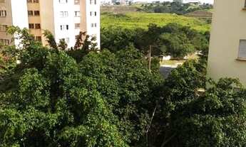 Imagem 7: Residencial - Bandeiras