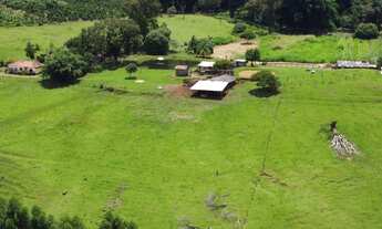 Imagem 4: Sítio de 6,5 alqueires em Pardinho-SP