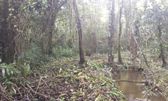 Imagem 3: Oportunidade 68mil a vista