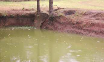 Imagem 7: Chacara Para Venda Região Bairro Cipo Zona Sul - SP