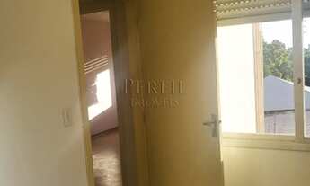 Imagem 5: PORTO ALEGRE - Padrão - SANTA CECILIA