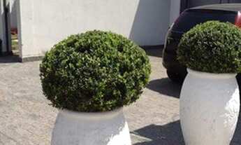 Imagem 3: Casa para Venda em Indaiatuba, VILA SUIÇA, 3 dormitórios, 3 suítes, 4 banheiros, 4 vagas