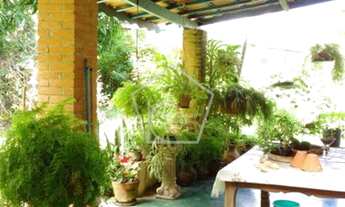 Imagem 5: Chácara simples e confortável, com muito verde e bastante espaço no Recanto dos Pássaros