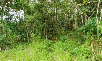 Imagem 6: Terreno com galpão em ipelândia