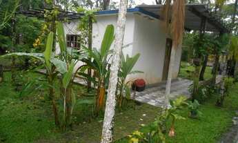 Imagem 7: Chácara rural à venda em Bertioga no Sítio Caiubura