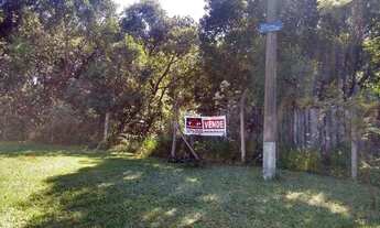 Imagem: 1000 m2 de boa topografia