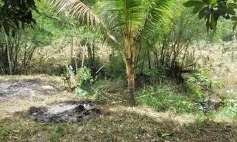 Imagem 6: Venda ou troca Chácara com venda por R$80.000