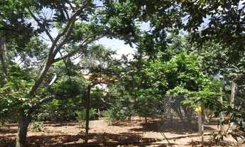 Imagem 6: Pertinho da Serra do Cipó, maravilhoso sitio de 4.500m²(Temos varias opções)