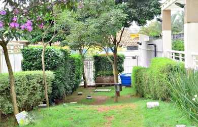 Imagem 6: Apartamento a venda 2 dormitórios vila Guilherme