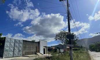 Imagem 2: Aluga-se Galpão Mucunã