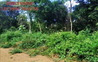 Imagem 6: SCL (T09) Olha isso aqui terrenos para chácara em Cariacica Sede