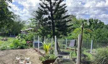 Imagem 3: Vende-se um encantador sítio em São Lourenço da Mata