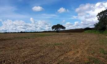 Imagem 5: Fazenda 73 Alq perto de Divinopolis