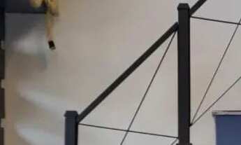 Imagem 4: Loja e Bistrô em região Nobre de Porto Alegre. Excelente Oportunidade!