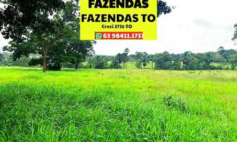 Imagem 3: Fazenda de oportunidade pecuária Paraíso do Tocantins