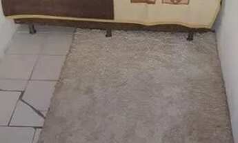 Imagem 4: Alugo para vaquejada de Serrinha