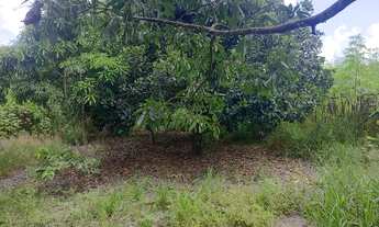 Imagem 7: Fazenda Goiás São João da Aliança