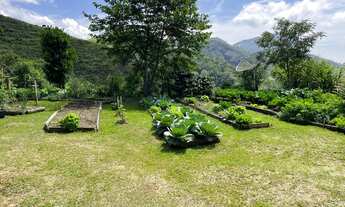 Imagem 3: Lindo sítio em Passa Vinte