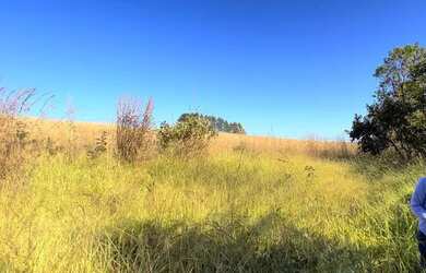 Imagem 3: Fazenda 10 hec em Paracatu, escriturada