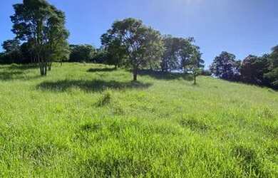 Imagem 3: Lf- Vende-se terreno para sua chácara