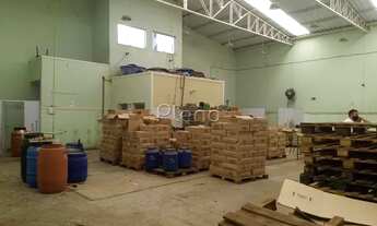 Imagem 3: Barracão - Parque Via Norte - Campinas