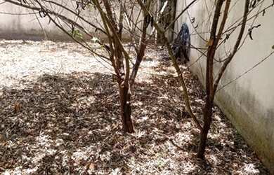 Imagem 5: Vendo ou troco casa em Matozinhos