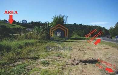 Imagem 5: Área Industrial em Rodovia Edgar Maximo Zambotto