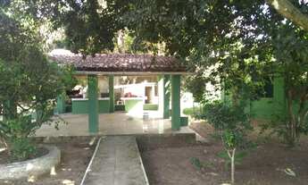 Imagem 4: Chácara a venda em aldeia, com excelente localização, sua família viver bem!!!