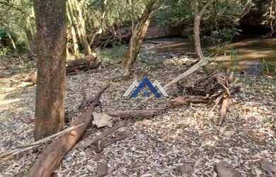 Imagem 7: Chácara à venda, 2000 m² por R$ 180.000,00 - Fazenda Nata - Londrina/PR