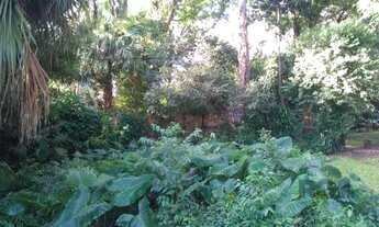 Imagem 7: Terreno em Ipanema