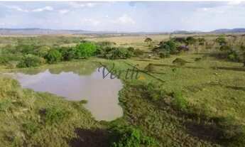 Imagem 6: Fazenda em Unaí - Minas Gerais, à venda com 537ha - Dupla Aptidão