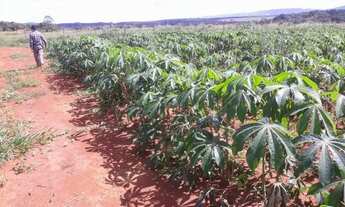 Imagem 2: Chacara para venda 3,5 alqueires em Zona Rural - Itaberaí - GO