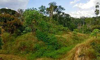 Imagem 7: Sítio Chácara com venda por R$450.000