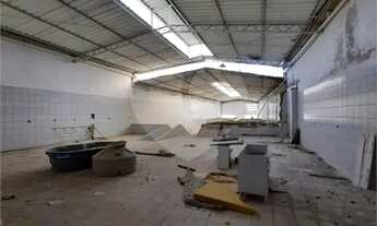 Imagem 3: Terreno à venda ou para locação em Vila Romana - SP