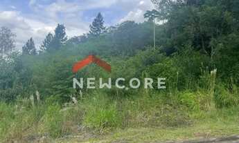 Imagem: Lote em Rua Montevidéu - Emancipação