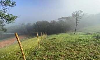 Imagem 3: Lote à Venda  Bairro Papa Milho, 1.040 m²